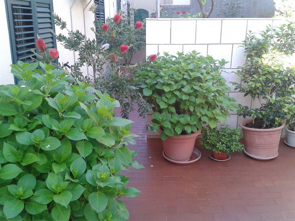 Anna Guest house Dubrovnik